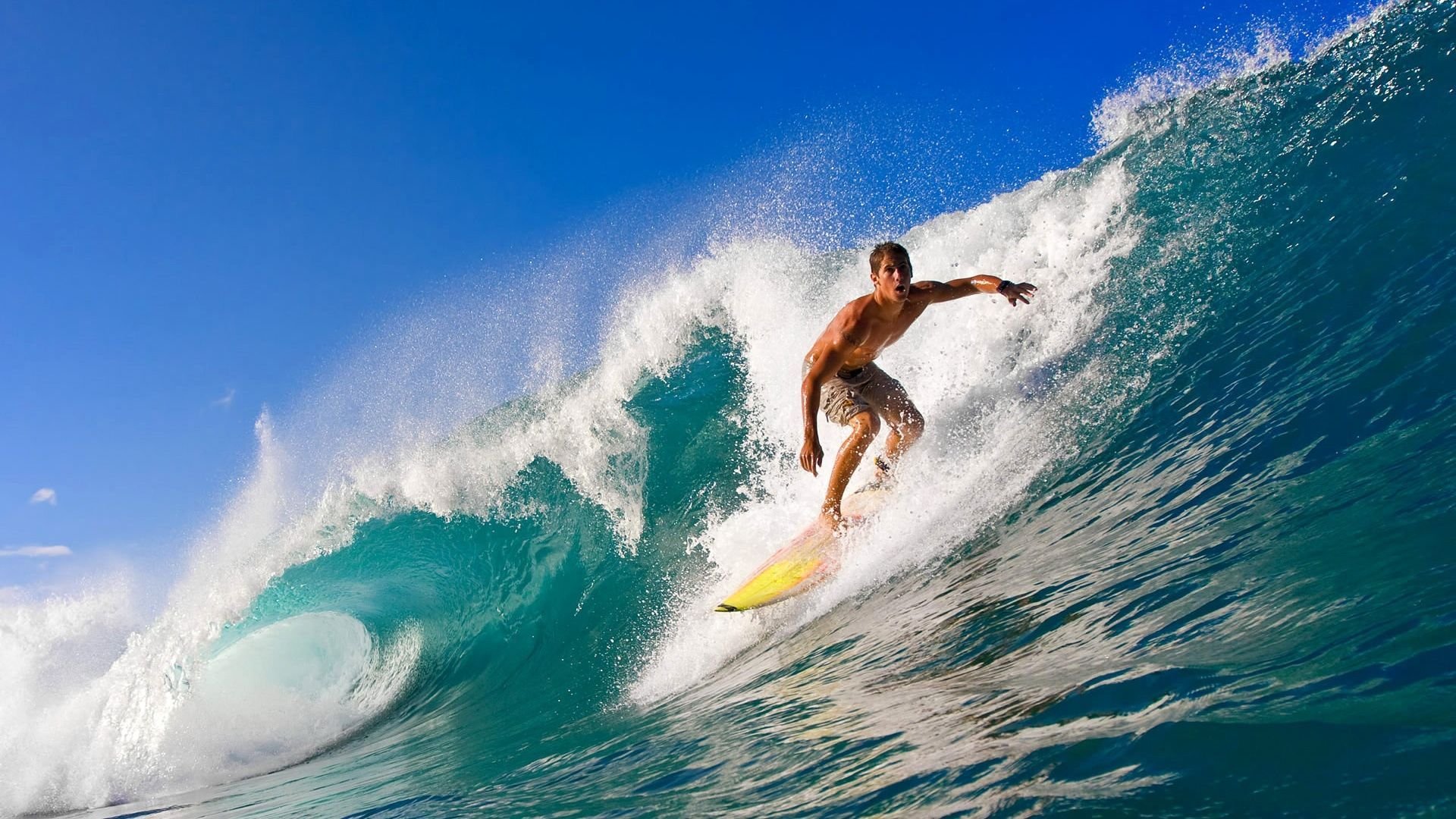 开云·Kaiyun网页版-_海底水下运动竞技：探索未知海域_，未知海底生物