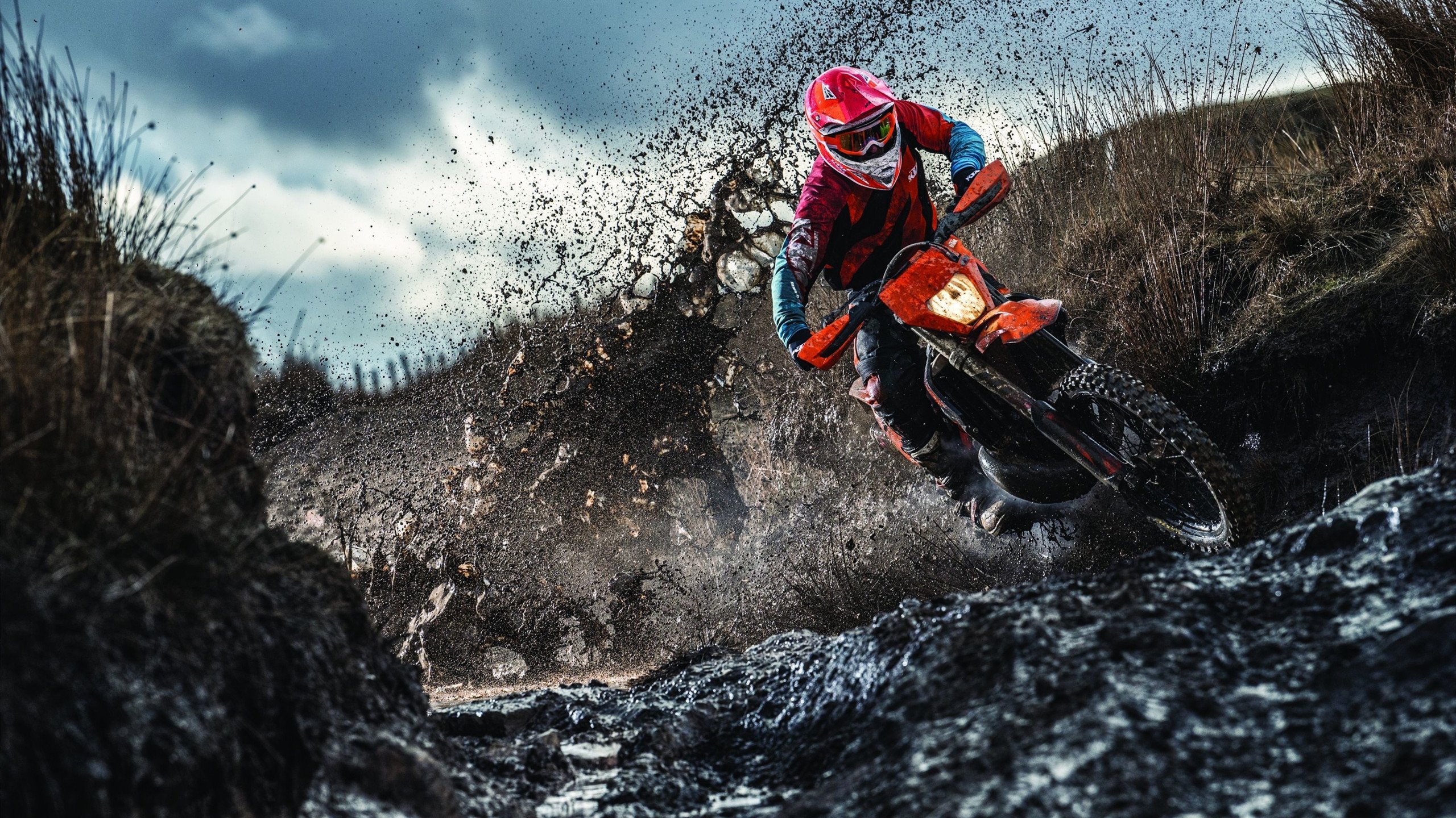 瑞士骑手马丁·福克斯荣获2024年最佳障碍赛骑手奖,表彰其卓越表现。