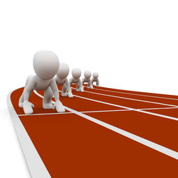 开云官方网页登录-中小学体育教师职业成长路径研究，中小学体育教师现状